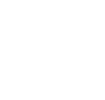 line icon
